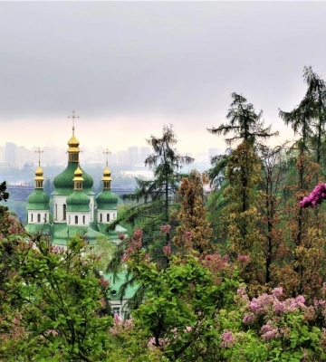 Раніше за норму: в київському ботсаду вже сезон цвітіння бузку і азалій