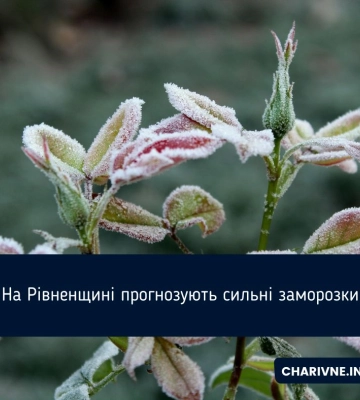 Вночі — сильні заморозки: рівненські синоптики дали прогноз на 23-26 квітня