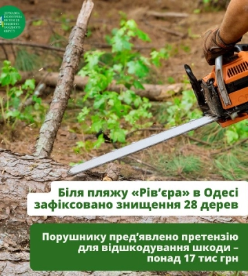 Біля пляжу в Одесі незаконно вирубали дерева