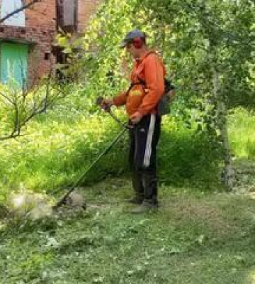 У Полтаві розгорівся скандал через тендер на покіс трави