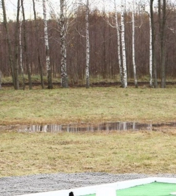 Не вийшло домовитися за €100: на Волині водій давав прикордоннику хабар, щоб виїхати за кордон