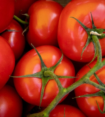 Где на этой неделе в Киеве пройдут продуктовые ярмарки. Адреса