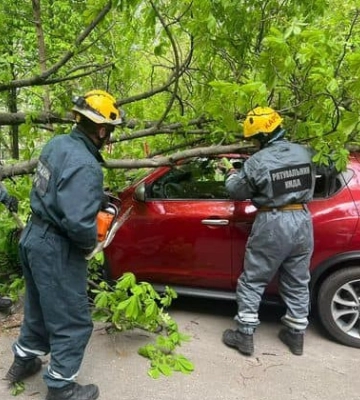 В Киеве непогода на выходных повредила или свалила 107 деревьев