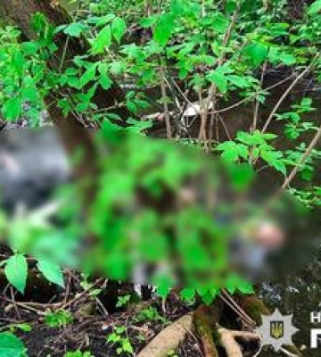 На Полтавщині у водоймі виявили тіло чоловіка