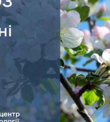 Якою буде погода у Львові 14 квітня: прогноз