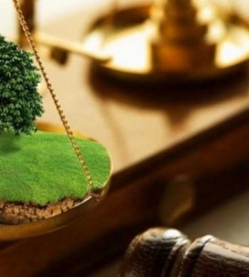 У Львові продали земельну ділянку за 5,6 млн грн