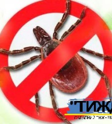 Яку небезпеку  несе укус кліща і як від нього захиститись?
