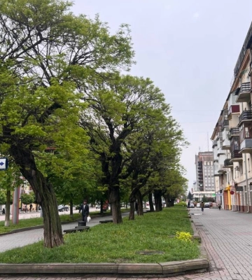 Куди піти у Франківську 24 квітня