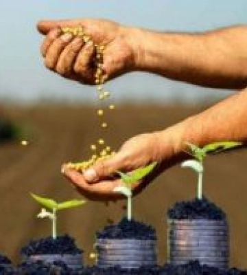 36 мільярдів гривень банківських кредитів отримали аграрії на розвиток господарств, —  Комітет з питань аграрної та земельної&amp;hellip;