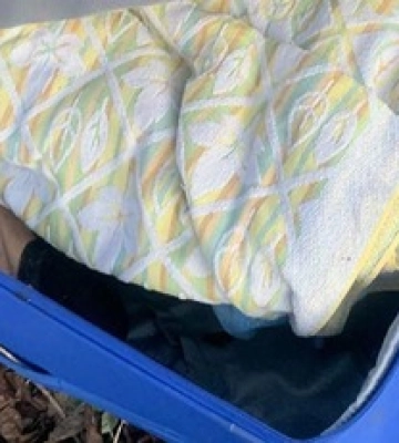 Поклав тіло матері у валізу та залишив у парку: жителя Тернополя відправили під суд