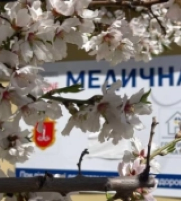 В Одесі надають безкоштовні медичні послуги для переселенців: хто і як може скористатись