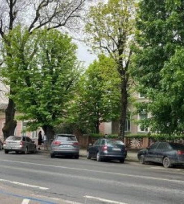 В Ужгороді зʼявляться ще близько 150 місць на ще одній платній парковці