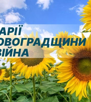 Рекордні посіви соняшника та зелений туризм: як працює агросектор Кіровоградщини під час війни