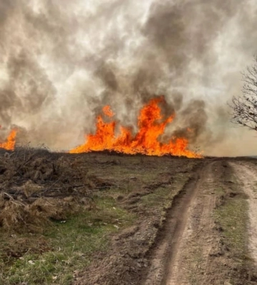 Лісівники Рівненщини й Волині впродовж тижня десятки разів виїжджали гасити пожежі
