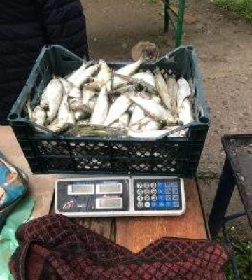 На Миколаївщині склали протокол на продавців живої риби