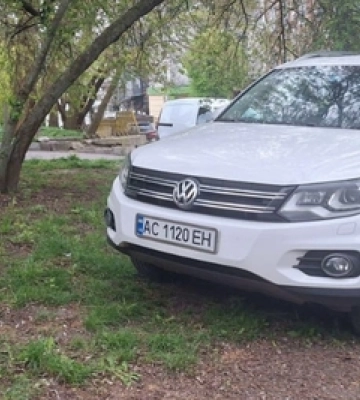 Тільки-но засіяли травою: паркохами нищать зелену зону в центрі Луцька 