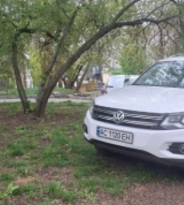 Тільки-но засіяли травою: паркохами нищать зелену зону в центрі Луцька 