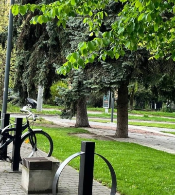 Заморозки і хмарно: погода у Франківську 26 квітня