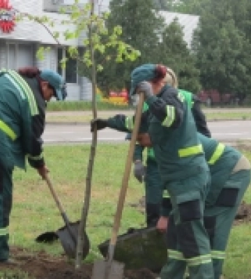 У Миколаєві відбулося весняне озеленення