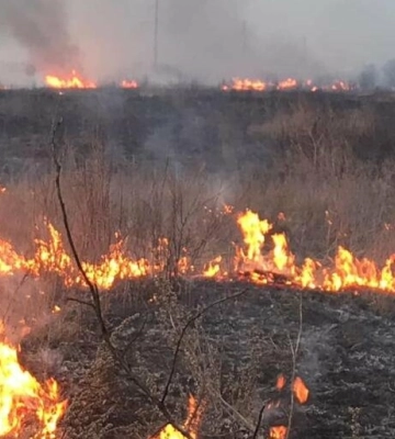 На Полтавщині горів сухостій