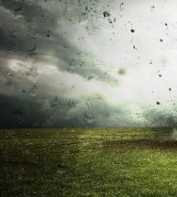 На Хустщині поблизу житлового будинку виявлено та знешкоджено мінометні міни