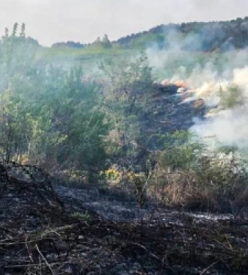 На Львівщині рятувальники за добу загасили 19 пожеж сухої трави