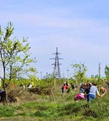 13 квітня у Миколаєві пройшла масштабна толока