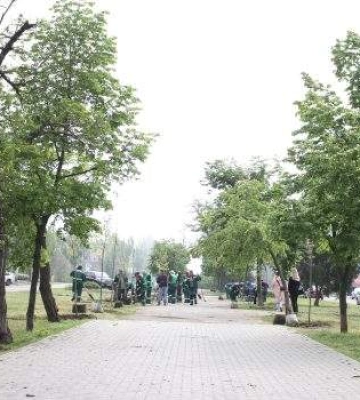У Миколаєві відбулося весняне озеленення