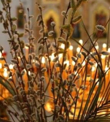 Що робити з минулорічною вербою: відповідь луцького священника