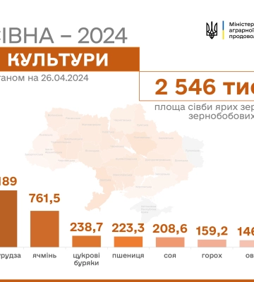 Соняшником в Україні вже засіяли майже 2 млн га