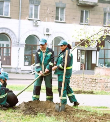 Весняне озеленення: у Миколаєві висадили майже 400 дерев та кущів