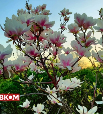 Без опадів, переважно до 20° тепла: прогноз погоди на 27 квітня