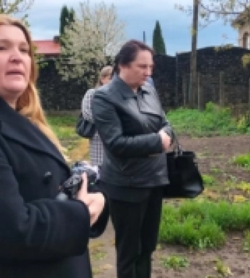 В оренду не віддали нікому: у Рожищенській міськраді розбиралися зі скандальоною земельною ділянкою