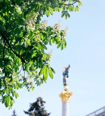Каштани розквітли у Києві: фото заквітчаного міста