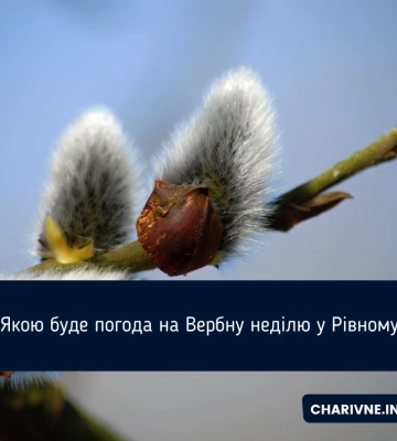 На Рівненщині в неділю буде тепло та без опадів