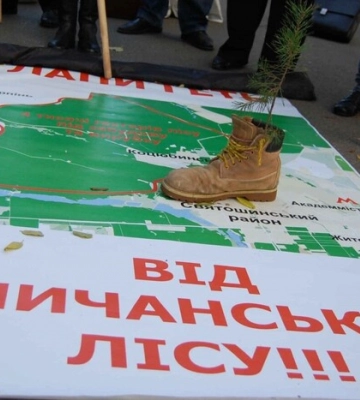 Хто краде у Києва 3 тис. гектарів? Верховний Суд дав роз’яснення у справі Біличанського лісу