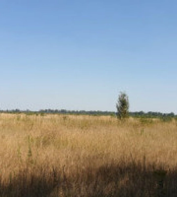 Під Борисполем виставили на продаж більше 10 га земельних ділянок під забудову