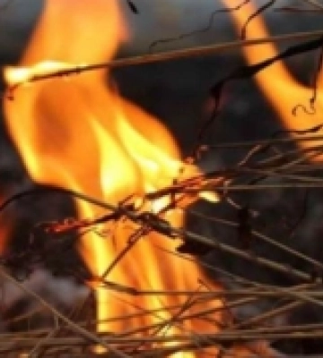У Дубні вогонь знищив стіг соломи