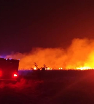 Підпали в дев&#039;яти селах: на Волині за добу вигоріли майже 16 гектарів сухостою