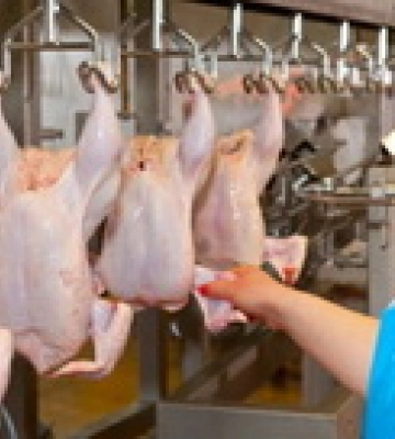 У Франції просять ЄС не продовжувати скасування мит для України через різкий стрибок імпорту курятини