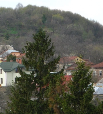 У Львові в рекреаційній зоні зачищають парк під будівництво
