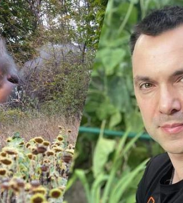 Полный коллапс и катастрофа — Арестович о положении оккупантов на Харьковщине
