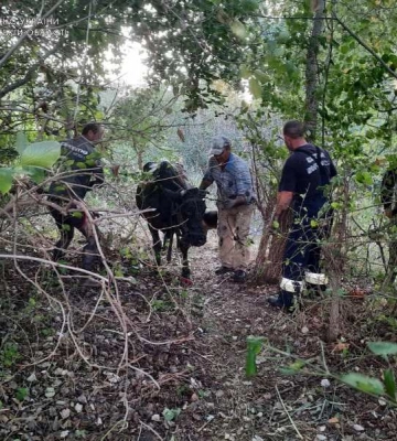 На Одещині провели вдалу рятувальну операцію