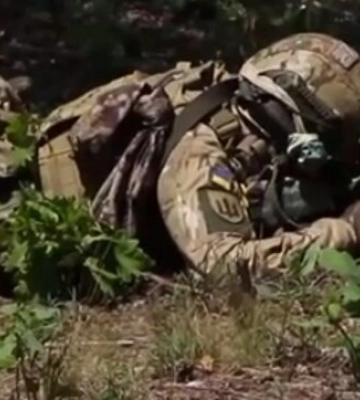 Вже видно будинки Херсону: українці у захваті від просування ЗСУ