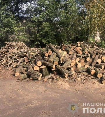 В Кривом Роге столкнулись легковушка с микроавтобусом