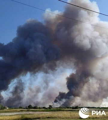 Через обстріли на Миколаївщині згоріли 11 тисяч гектарів унікального заповідного лісу