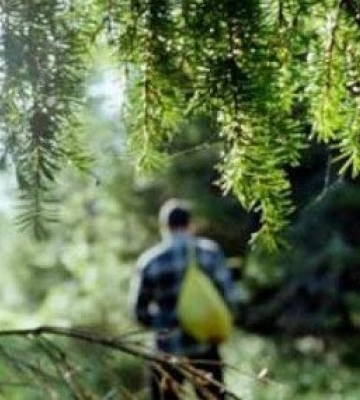 На Рахівщині шукають чоловіка який пішов у ліс по гриби і зник