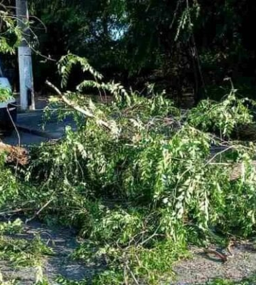 Через непогоду на Одещині без світла залишилися 26 сіл