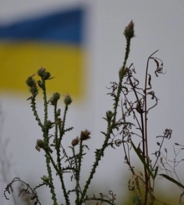 На Харківщині вже деокуповані понад 40 населених пунктів - ОВА