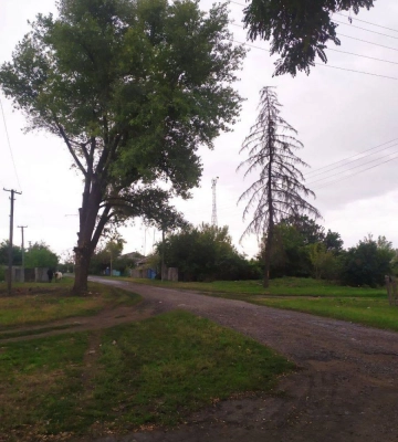 Жовто-синій стяг замайорів ще над одним селом на Луганщині